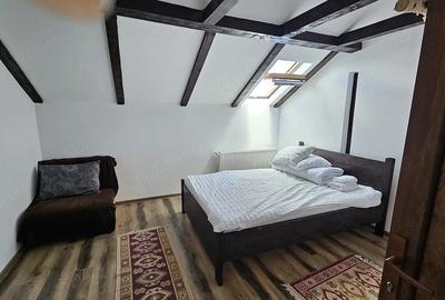Casă cu 5 camere cu Teren 420 Mp în Paltin