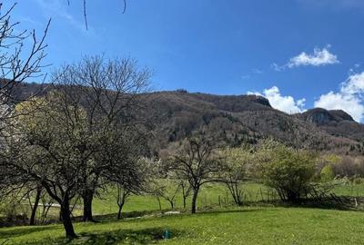 Teren de 3001 mp, în Bran - 8