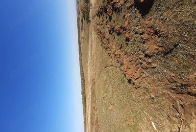 Teren de 175000 mp, în Topla
