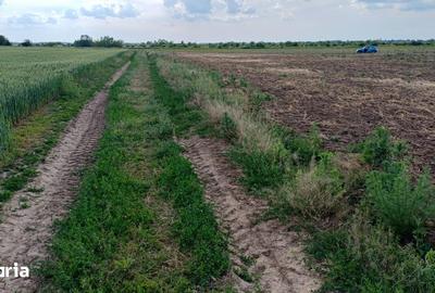 Teren de 10000 mp, în Periș - 7
