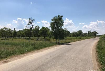 Teren de 3000 mp, în Margina - 2