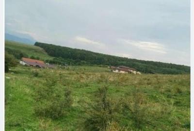 Spațiu comercial, în Ciurila