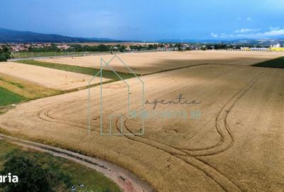 Teren de 2900 mp, în Vințu de Jos - 2