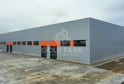 Spațiu industrial, de 1,500 mp, în Exterior Sud - 2