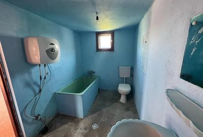 Casă cu 2 camere cu Teren 355 Mp în Micălaca - 1