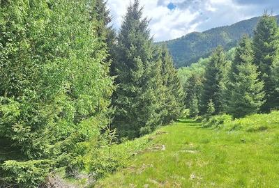 Teren de 300 mp, în Râu de Mori