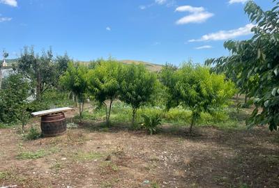 Casă individuală cu 3 camere cu Canalizare în Bărăbanț - 9