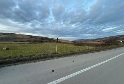 Teren Construcții de 6000 mp, în Cojocna - 4