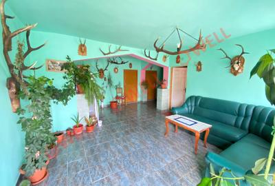 Casă cu 6 camere cu Teren 4831 Mp în Bixad - 5