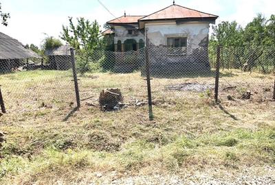 Teren Construcții intravilan de 11275 mp, în Moșoaia - 8