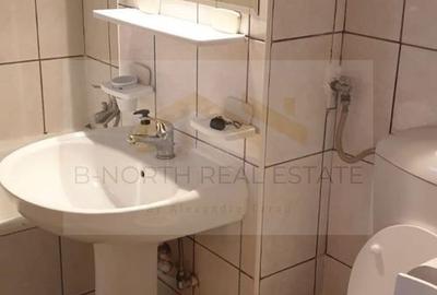 Apartament cu 3 camere decomandat, mobilat în Tineretului - 10