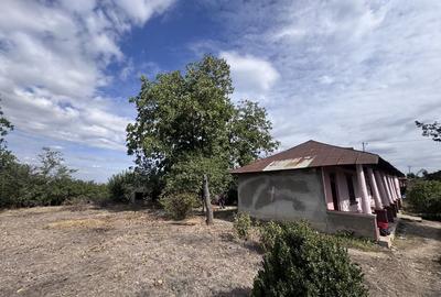 Casă cu 4 camere în Copaciu - 5