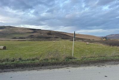 Teren Construcții de 6000 mp, în Cojocna - 7