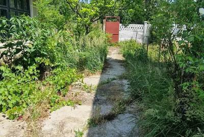 Casă cu 3 camere cu Teren 1853 Mp în Devesel - 3
