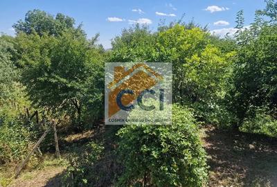 Casă cu 5 camere cu Teren 10426 Mp în Est