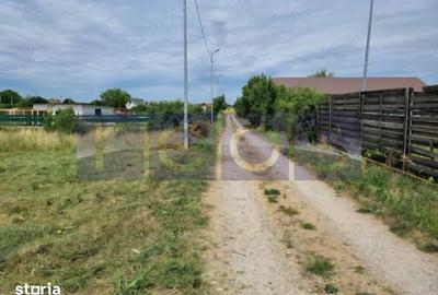 Teren de 972 mp, în Cernica