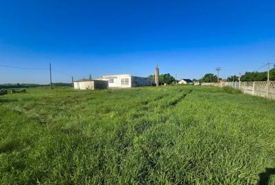 Spațiu comercial, de 7,354 mp, în Movila Miresii - 5