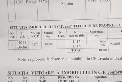 Teren de 10000 mp, în Brebu - 1