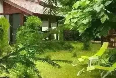 Casă cu 7 camere cu Teren 300 Mp în Lepșa - 10