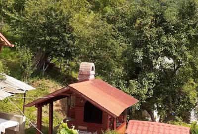 Casă cu 4 camere cu Teren 20 Mp în Băile Herculane - 3