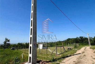 Teren de 888 mp, în Paleu - 3