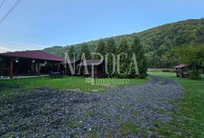 Casă individuală cu 19 camere cu Teren 9669 Mp în Mărgău - 12