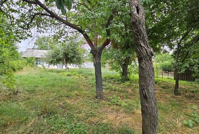 Casă individuală cu 2 camere cu Teren 9200 Mp în Pădureni (Șendriceni) - 14