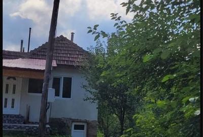 Teren de 95000 mp, în Costești (Albac)