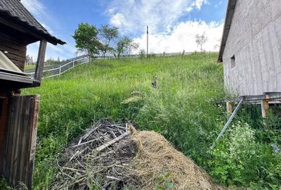 Casă cu 4 camere cu Teren 2000 Mp în Bolovăniș - 4