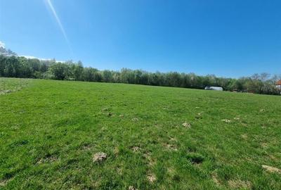 Teren Construcții extravilan de 20000 mp, în Sebeș - 1
