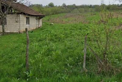 Teren de 1500 mp, în Predești - 6