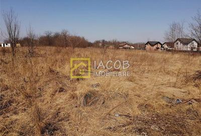 Teren Construcții intravilan de 6208 mp, în Sud - 6
