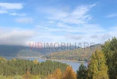 Teren intravilan de 10000 mp, în Ceahlău - 3