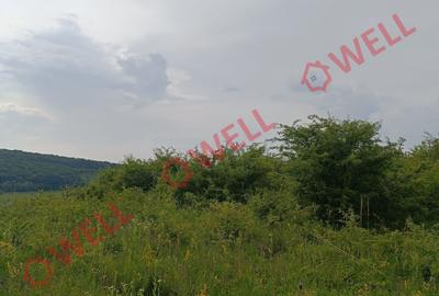 Teren Construcții intravilan de 7900 mp, în Livezeni - 5
