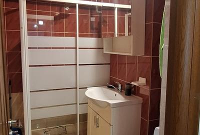 Apartament cu 2 camere decomandat în Universitate - 10