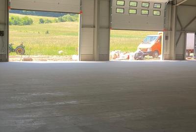 Spațiu industrial, de 598.83001708984 mp, în Gilău - 3