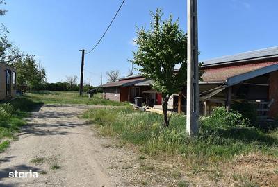 Spațiu comercial, de 356 mp, în Sântandrei - 10