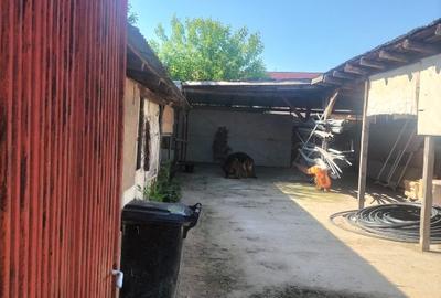 Spațiu comercial, 50 mp în Romanești - 8