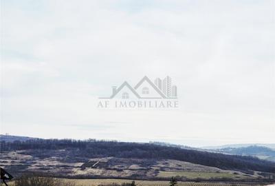 Teren de 493 mp, în Frumoasa - 5
