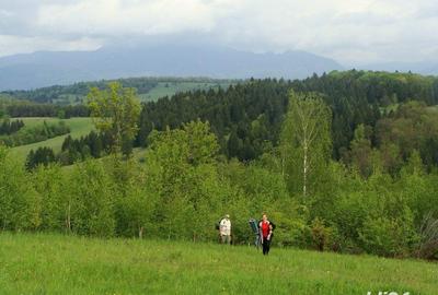 Teren de 11600 mp, în Poiana Mărului - 2
