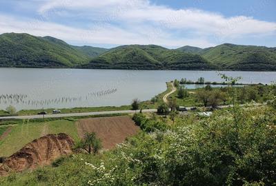 Teren de 3200 mp, în Berzasca - 7