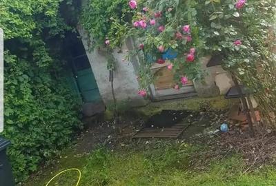 Casă cu Teren 1415 Mp în Husasău de Tinca - 7