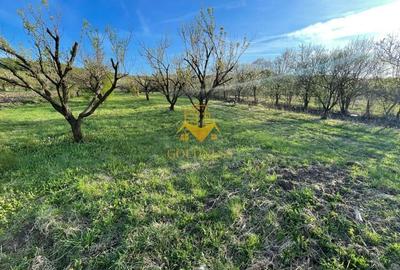 Teren agricol intravilan de 5500 mp, în Sopor - 3