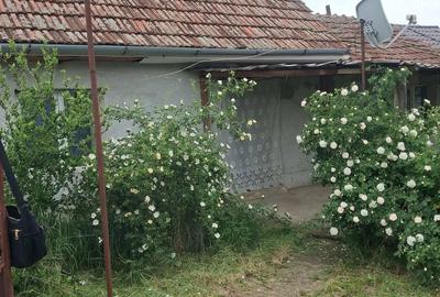 Casă cu 2 camere cu Teren 1090 Mp în Central - 2