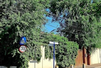 Casă cu Teren 430 Mp în Central - 3