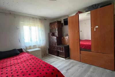 Casă cu Teren 8600 Mp în Giubega - 8