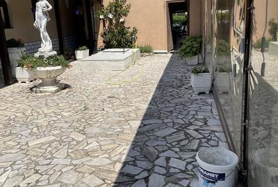 Casă cu 6 camere cu Teren 1359 Mp în Girișu de Criș - 6
