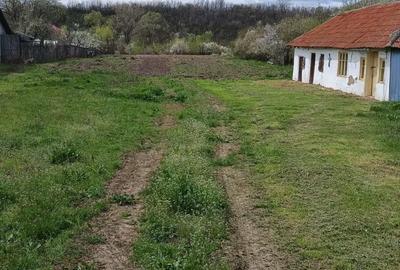 Teren de 4629 mp, în Negreni - 7