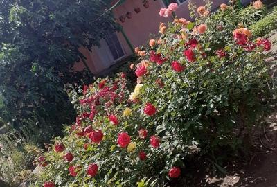 Casă cu 3 camere în Revărsarea