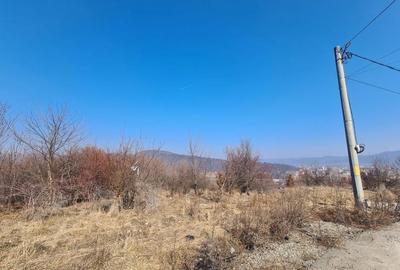 Teren de 9100 mp, în Petrișor - 5